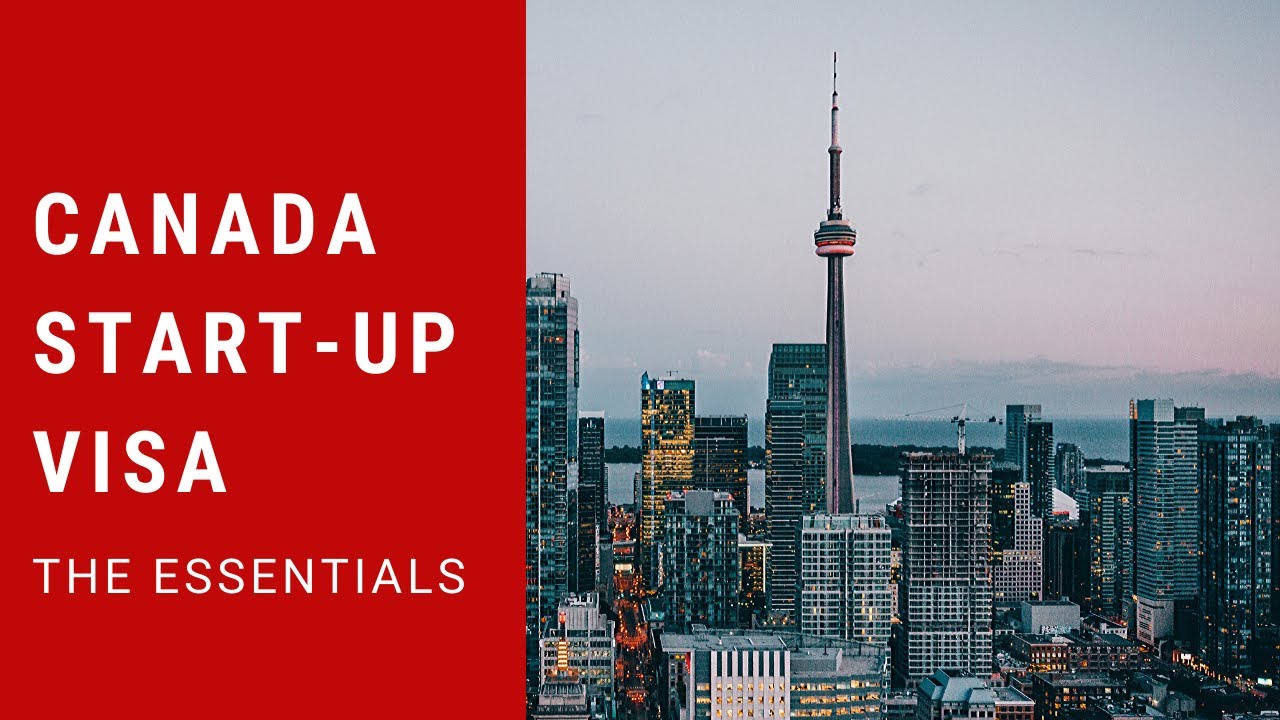 Canada start up visa thông tin cần biết với hình nền thành phố Toronto và tháp CN Tower