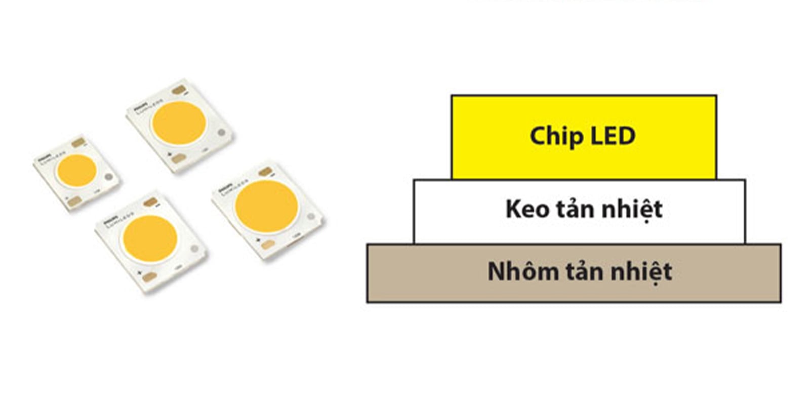 Cấu tạo của chip LED COB