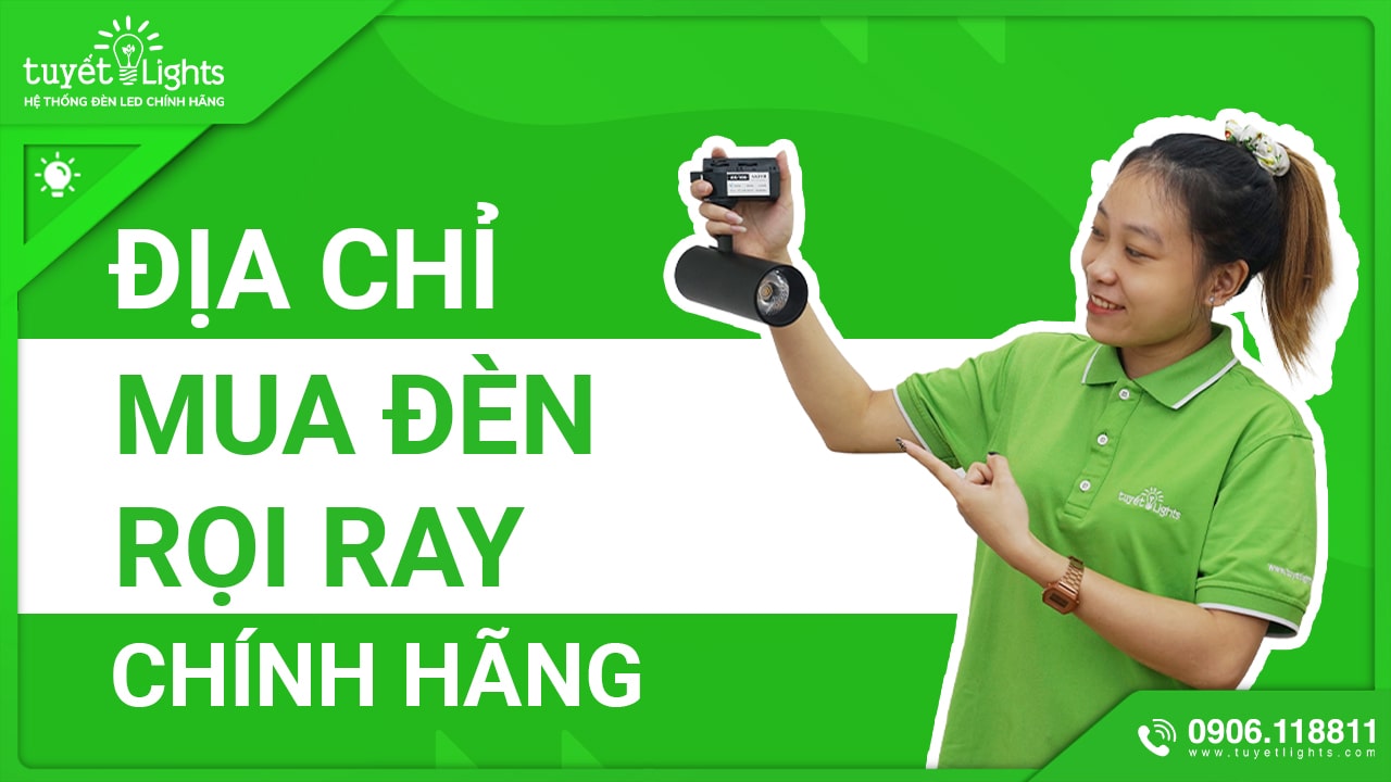 ĐỊA CHỈ MUA ĐÈN RỌI RAY CHÍNH HÃNG TẠI TP HCM