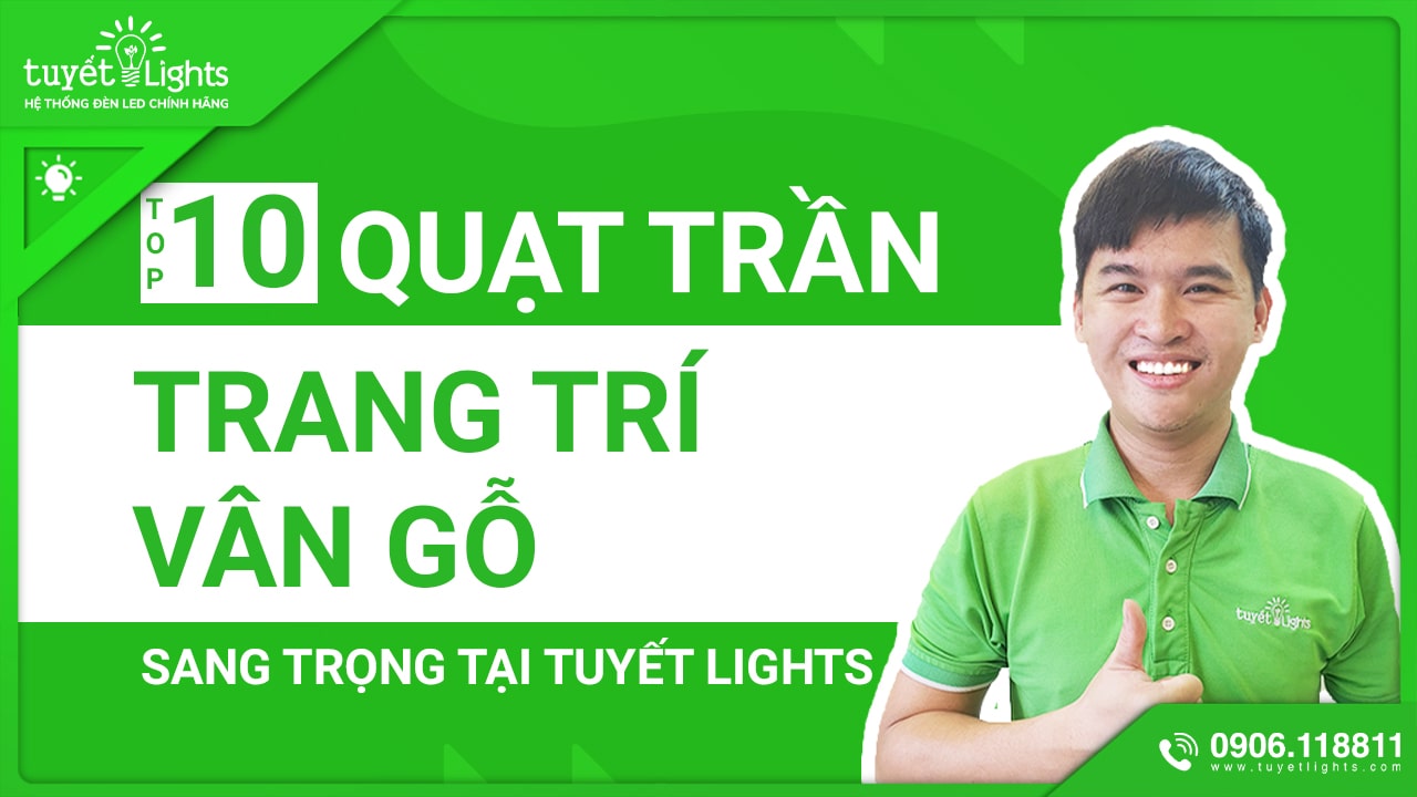 TOP 10 QUẠT TRANG TRÍ VÂN GỖ SANG TRỌNG CÓ TẠI TUYẾT LIGHTS