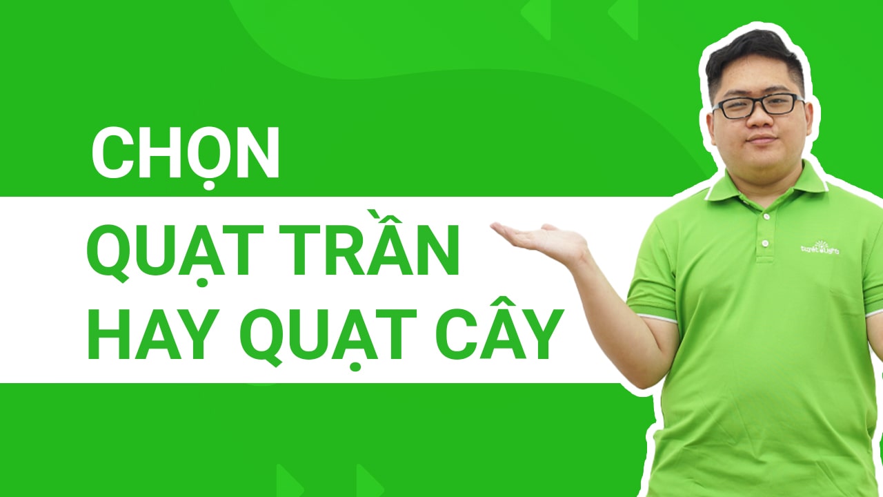 Chọn quạt trần hay quạt cây