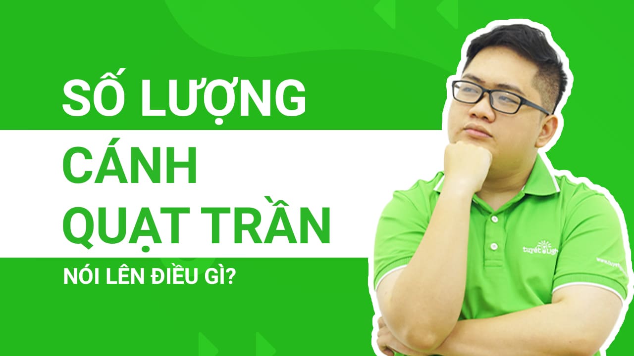 Số lượng cánh quạt trần nói lên điều gì?