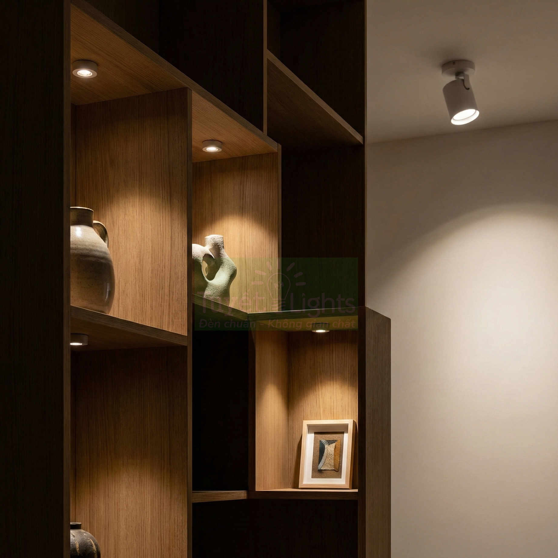 Đèn LED âm trần và đèn rọi chiếu sáng kệ gỗ trưng bày đồ trang trí trong phòng khách
