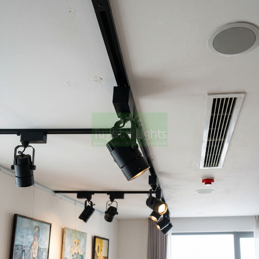 Đèn rọi ray đen lắp trần chiếu sáng tranh treo tường trong phòng khách hiện đại