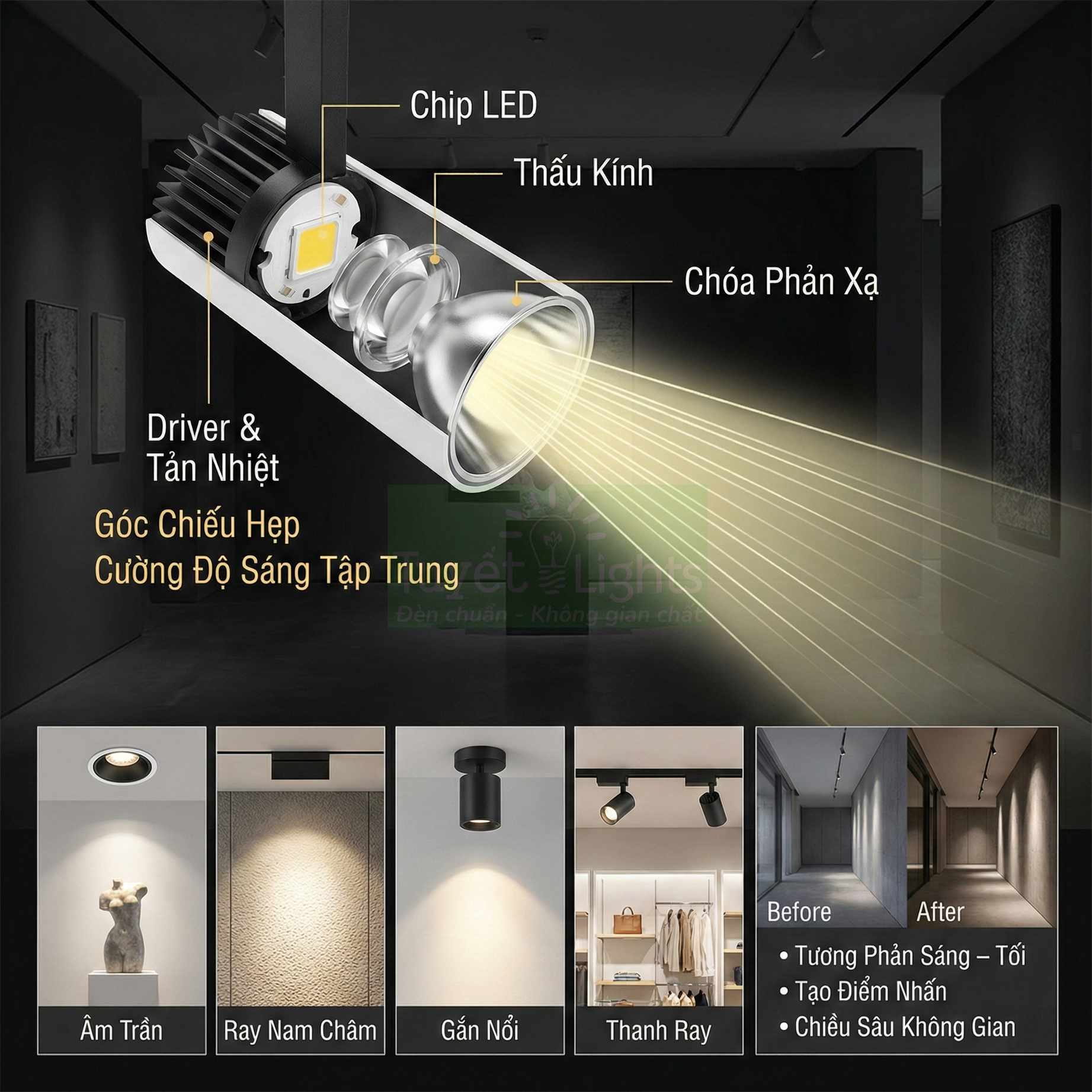 Đèn spotlight là gì? Cấu tạo, nguyên lý và ứng dụng thực tế