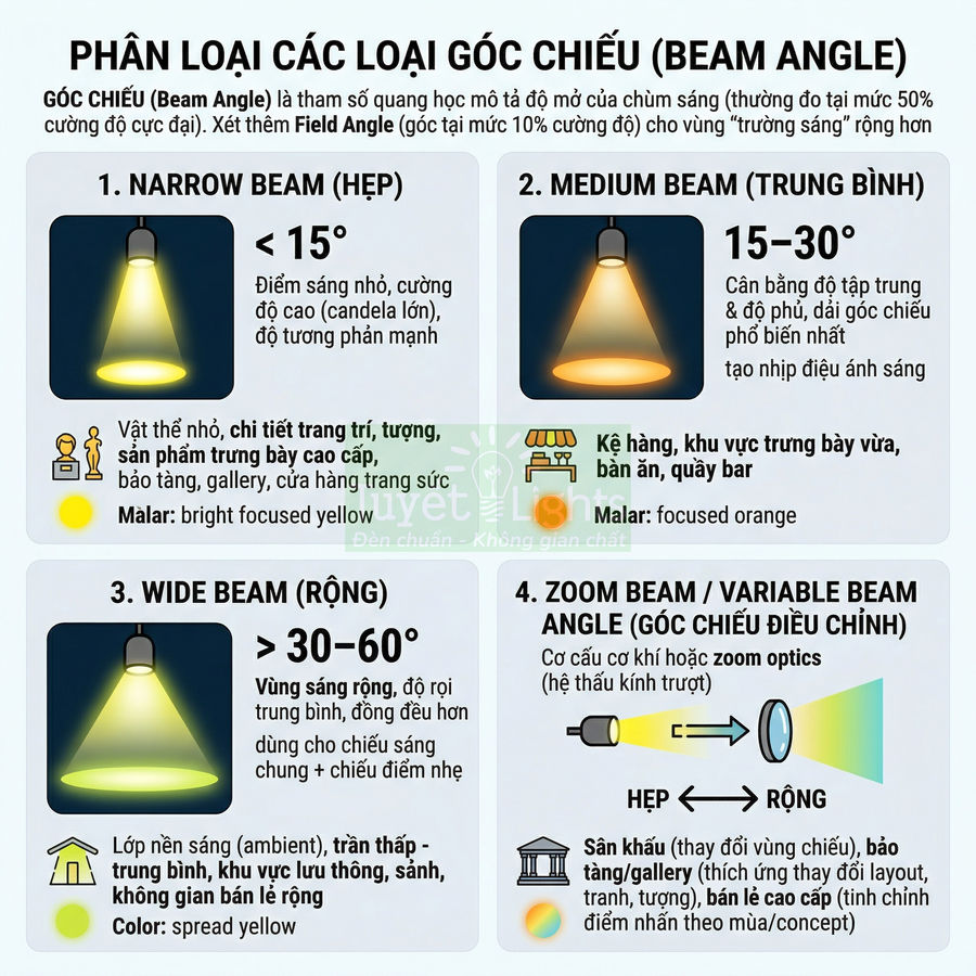 Infographic phân loại các loại góc chiếu đèn LED narrow beam medium beam wide beam và zoom beam cho chiếu sáng nội thất
