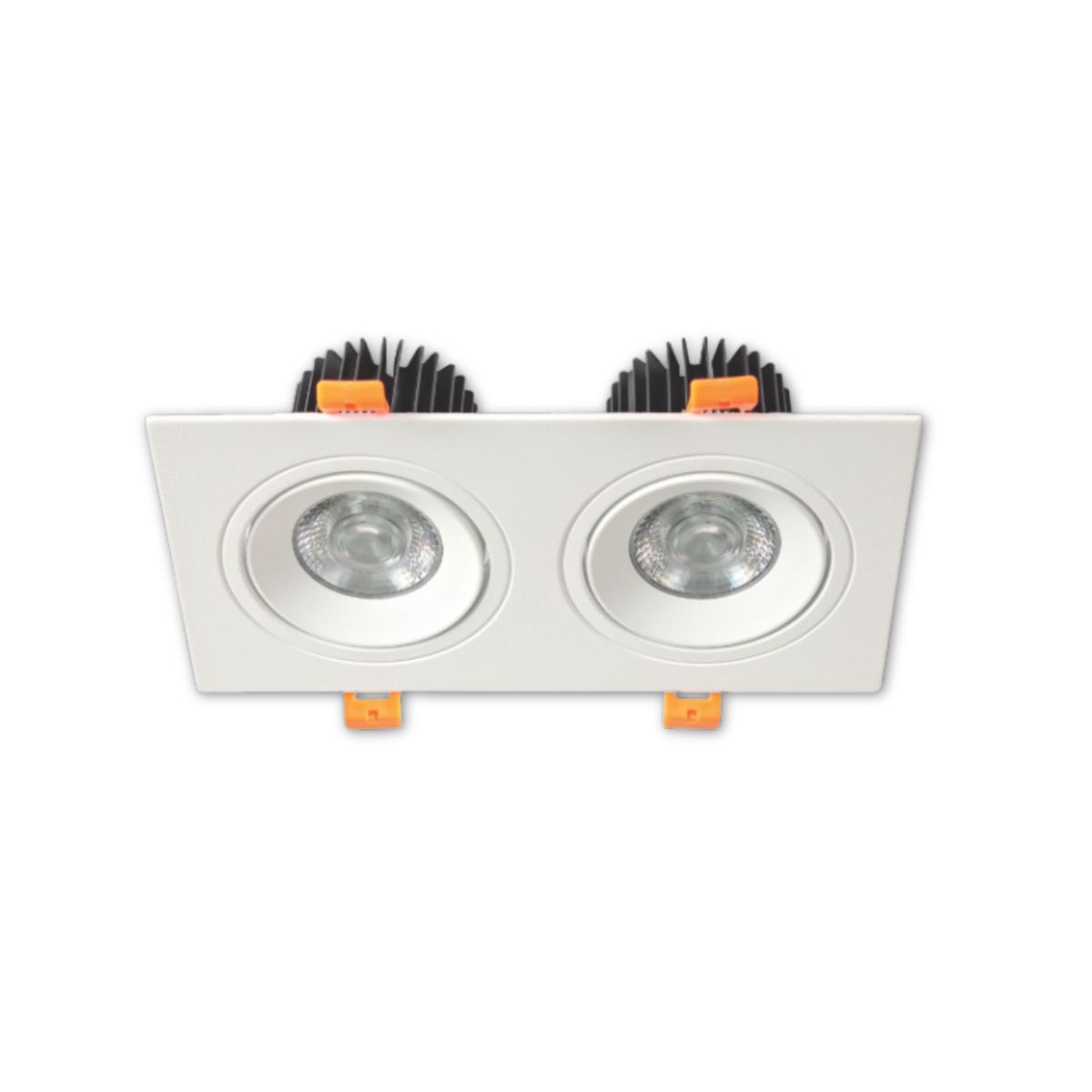 Bridgelux - Âm Trần Đôi Spotlight 12W Góc Chiếu 24° | AFC 767/2