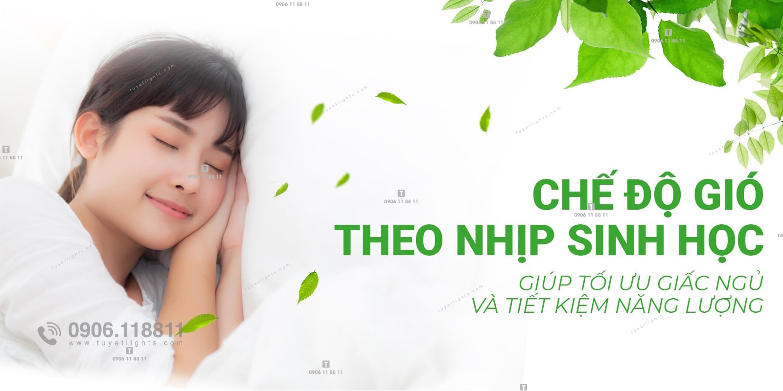 Chế độ gió theo nhịp sinh học