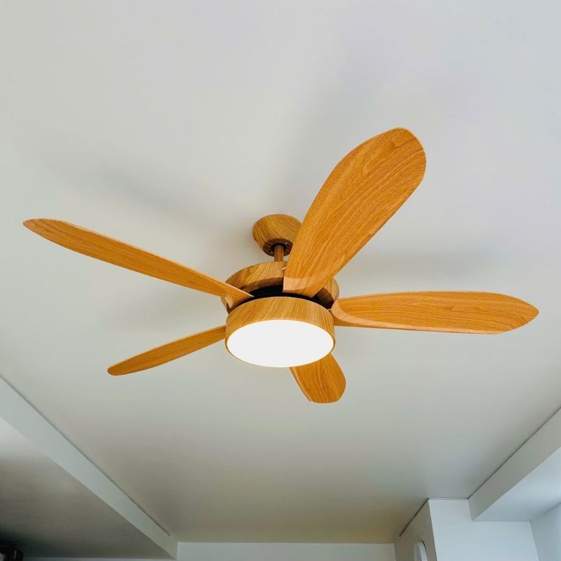 BNN- Quạt Decor 5 Cánh Ø1422 | QT33N