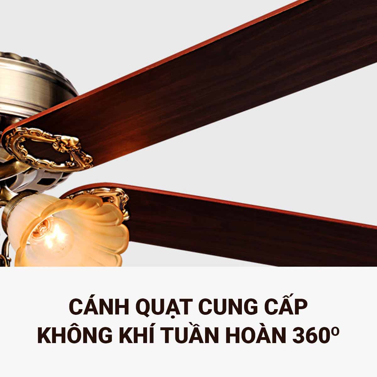 Cánh xếp