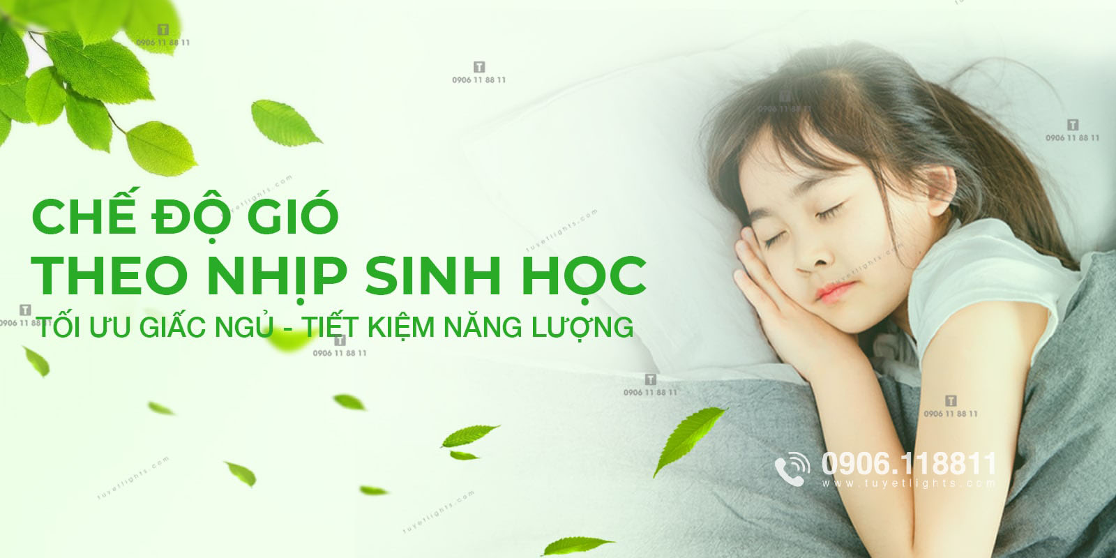 Chế độ gió theo nhịp sinh học