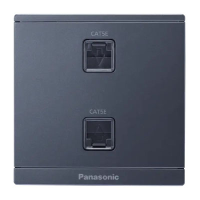 Panasonic Moderva -  Bộ 2 Ổ Cắm Data CAT5E Màu Xám Ánh Kim | WMF422MYH-VN