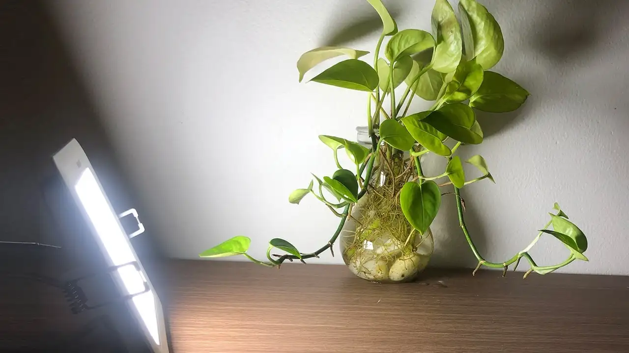 Đèn LED âm trần Phlips giúp mang lại ánh sáng chân thật nhất