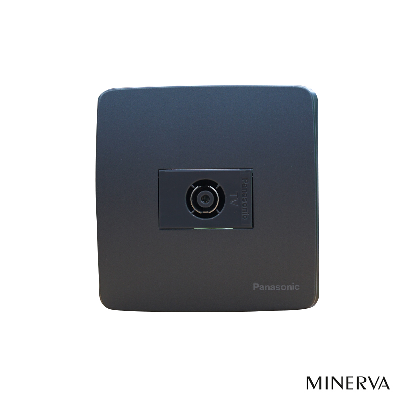 Panasonic Minerva - Bộ Anten Tivi - Màu Xám Ánh Kim | WEV2501H / WMT7811MYH-VN