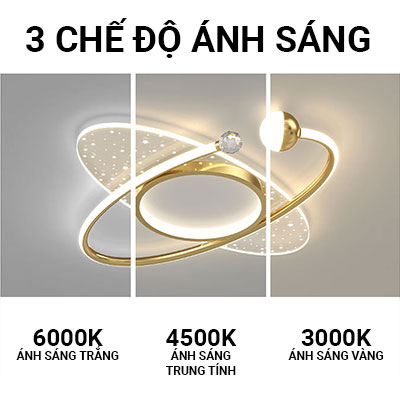 EURO - Ốp Trần Trang Trí Luxury | EUOL - 024.3
