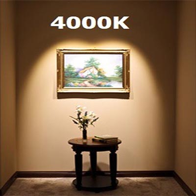 Akimi - Âm Trần Chiếu Điểm Akimi 8W 3000K / 4000K | AKRS8